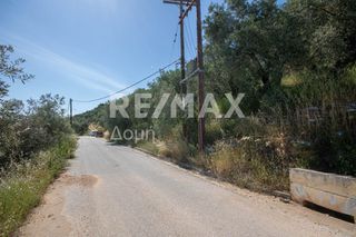 Οικόπεδο 965 τ.μ. για πώληση, Μαγνησία, Μηλιές-thumb-20