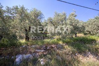 Οικόπεδο 965 τ.μ. για πώληση, Μαγνησία, Μηλιές-thumb-7