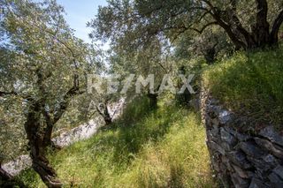 Οικόπεδο 965 τ.μ. για πώληση, Μαγνησία, Μηλιές-thumb-9
