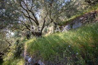 Οικόπεδο 965 τ.μ. για πώληση, Μαγνησία, Μηλιές-thumb-10