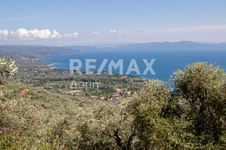 Οικόπεδο 965 τ.μ. για πώληση, Μαγνησία, Μηλιές-thumb-11