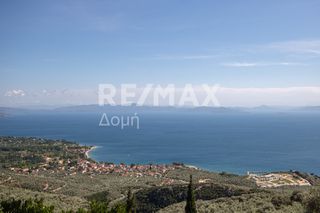 Οικόπεδο 965 τ.μ. για πώληση, Μαγνησία, Μηλιές-thumb-22