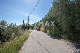 Οικόπεδο 965 τ.μ. για πώληση, Μαγνησία, Μηλιές-thumb-17