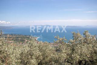 Οικόπεδο 965 τ.μ. για πώληση, Μαγνησία, Μηλιές-thumb-18