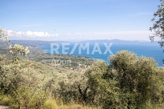Οικόπεδο 965 τ.μ. για πώληση, Μαγνησία, Μηλιές-thumb-14