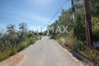 Οικόπεδο 965 τ.μ. για πώληση, Μαγνησία, Μηλιές-thumb-2