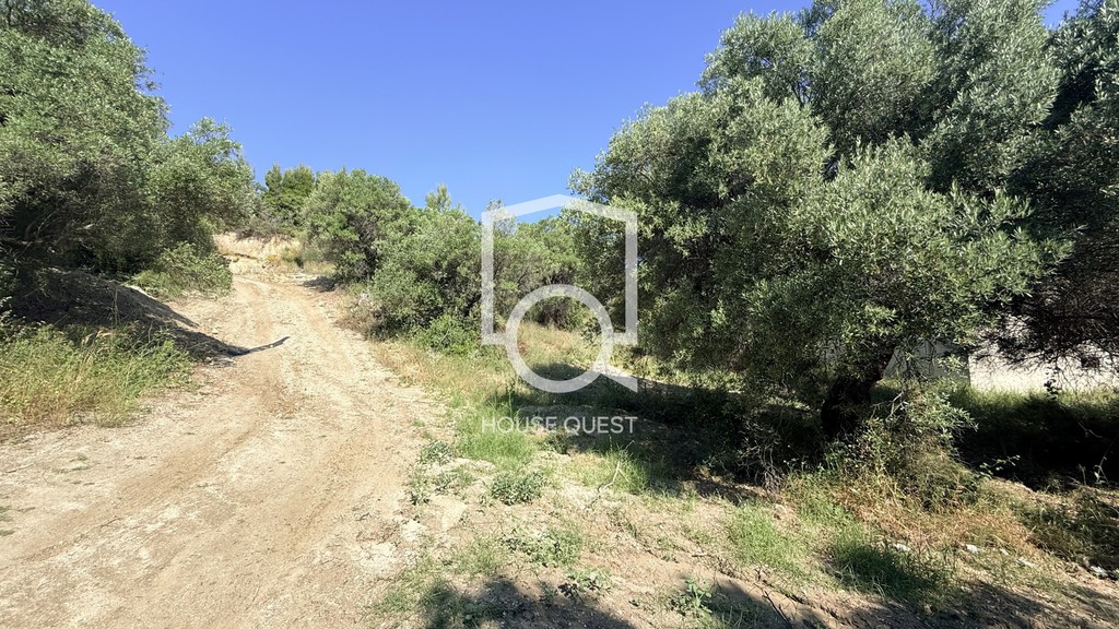 Οικόπεδο 1.460 τ.μ. πρός πώληση, Χαλκιδική, Παλλήνη