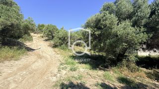 Οικόπεδο 1.460 τ.μ. πρός πώληση, Χαλκιδική, Παλλήνη-thumb-4