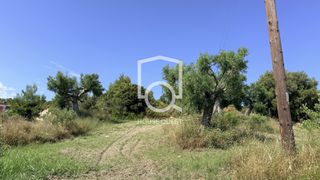 Οικόπεδο 413 τ.μ. πρός πώληση, Χαλκιδική, Παλλήνη-thumb-2