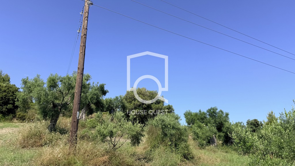 Οικόπεδο 413 τ.μ. πρός πώληση, Χαλκιδική, Παλλήνη