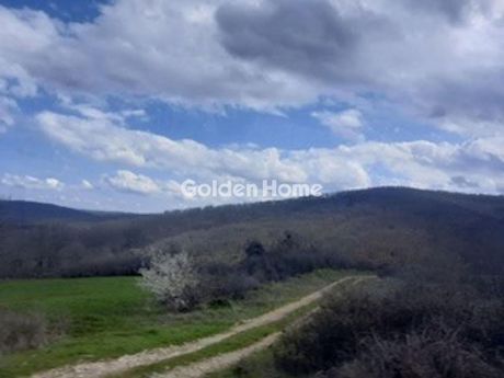 Αγροτεμάχια 16.000 τ.μ. προς πώληση