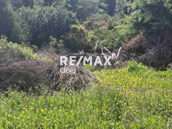 Parcel 10.000 sqm for sale, Thessaloniki - Suburbs, Oreokastro