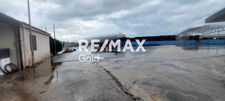 Γη 4.850 τ.μ. προς ενοικίαση
