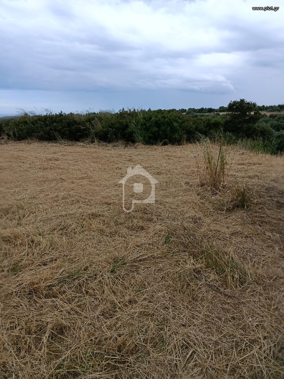 Αγροτεμάχια 935 τ.μ. πρός πώληση, Λακωνία, Βοϊων
