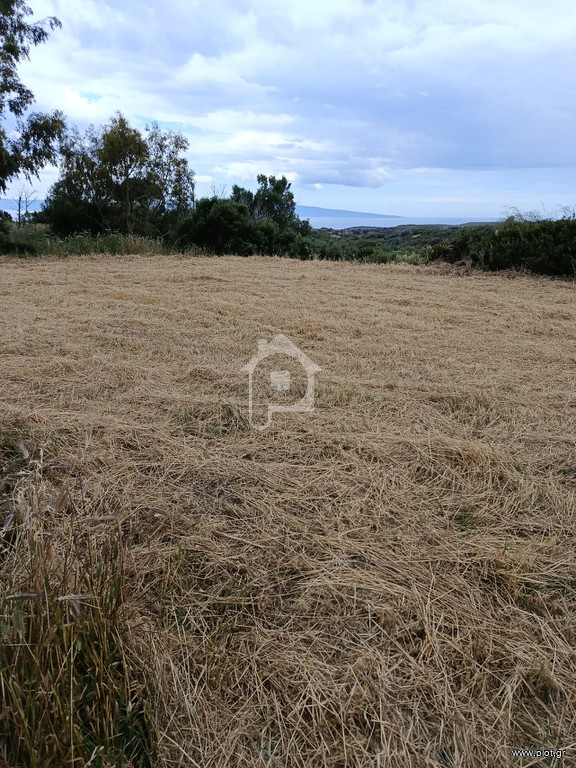 Αγροτεμάχια 935 τ.μ. πρός πώληση, Λακωνία, Βοϊων