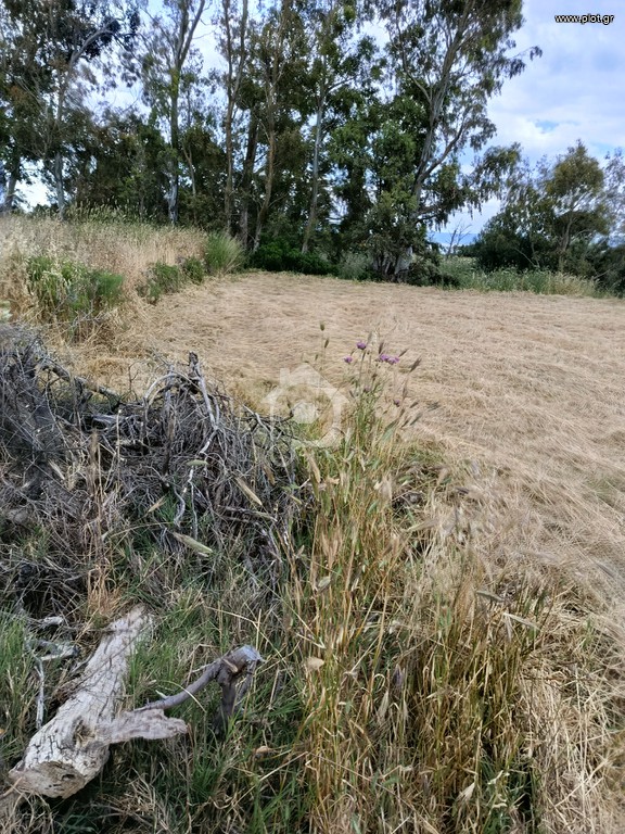 Αγροτεμάχια 935 τ.μ. πρός πώληση, Λακωνία, Βοϊων