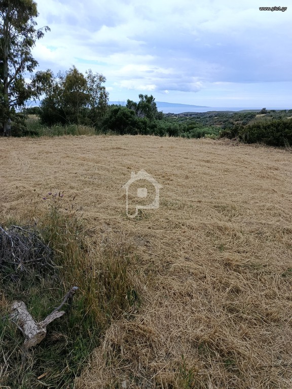 Αγροτεμάχια 935 τ.μ. πρός πώληση, Λακωνία, Βοϊων