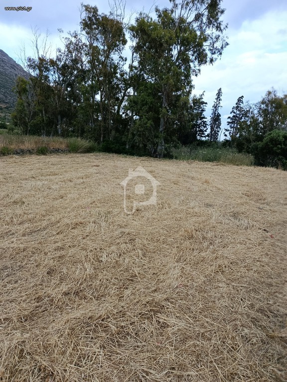 Αγροτεμάχια 935 τ.μ. πρός πώληση, Λακωνία, Βοϊων