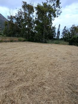 Αγροτεμάχια 935 τ.μ. πρός πώληση