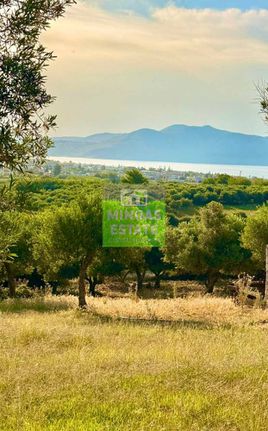 Land plot 1.000 sqm for sale, Chania Prefecture, Georgioupoli