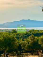 Οικόπεδο 1.000 τ.μ. για πώληση