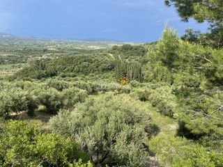 Αγροτεμάχια 9.954,97 τ.μ. προς πώληση, Κυπαρισσία Μεσσηνίας-thumb-7