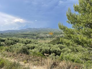 Αγροτεμάχια 9.954,97 τ.μ. προς πώληση, Κυπαρισσία Μεσσηνίας-thumb-4