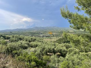 Αγροτεμάχια 9.954,97 τ.μ. προς πώληση, Κυπαρισσία Μεσσηνίας-thumb-5