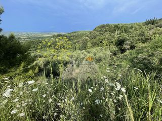 Αγροτεμάχια 9.954,97 τ.μ. προς πώληση, Κυπαρισσία Μεσσηνίας-thumb-1