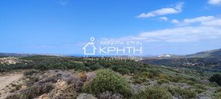 Οικόπεδο 143.000 τ.μ. για πώληση, Ν. Λασιθίου, Σητεία-thumb-2
