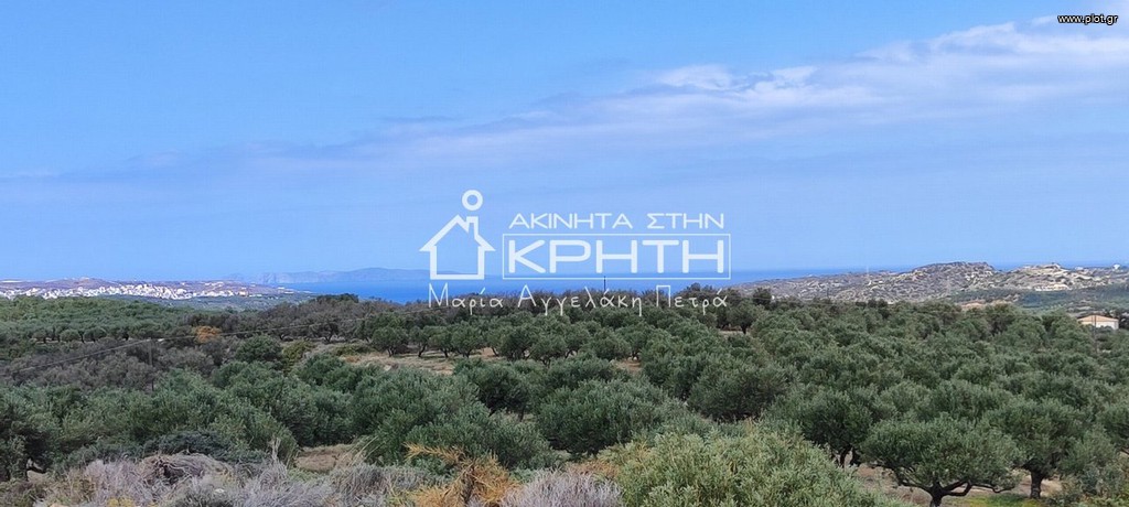 Οικόπεδο 143.000 τ.μ. προς πώληση, Σητεία