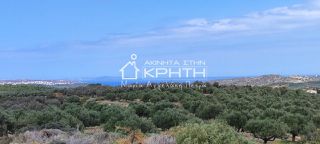 Οικόπεδο 143.000 τ.μ. για πώληση, Ν. Λασιθίου, Σητεία-thumb-4