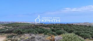 Οικόπεδο 143.000 τ.μ. για πώληση, Ν. Λασιθίου, Σητεία-thumb-5