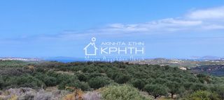 Οικόπεδο 143.000 τ.μ. για πώληση, Ν. Λασιθίου, Σητεία-thumb-6