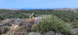 Οικόπεδο 143.000 τ.μ. για πώληση, Ν. Λασιθίου, Σητεία-thumb-7