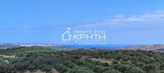 Οικόπεδο 143.000 τ.μ. για πώληση, Ν. Λασιθίου, Σητεία-thumb-9