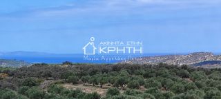 Οικόπεδο 143.000 τ.μ. για πώληση, Ν. Λασιθίου, Σητεία-thumb-11