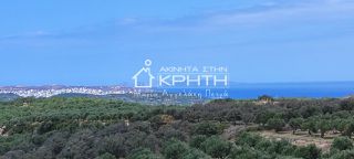 Οικόπεδο 143.000 τ.μ. για πώληση, Ν. Λασιθίου, Σητεία-thumb-12