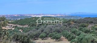 Οικόπεδο 143.000 τ.μ. για πώληση, Ν. Λασιθίου, Σητεία-thumb-13