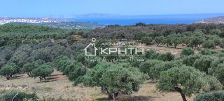 Οικόπεδο 143.000 τ.μ. για πώληση, Ν. Λασιθίου, Σητεία-thumb-14