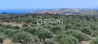 Οικόπεδο 143.000 τ.μ. για πώληση, Ν. Λασιθίου, Σητεία-thumb-15