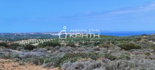 Οικόπεδο 143.000 τ.μ. για πώληση, Ν. Λασιθίου, Σητεία-thumb-17