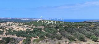 Οικόπεδο 143.000 τ.μ. για πώληση, Ν. Λασιθίου, Σητεία-thumb-19