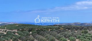 Οικόπεδο 143.000 τ.μ. για πώληση, Ν. Λασιθίου, Σητεία-thumb-20