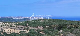 Οικόπεδο 143.000 τ.μ. για πώληση, Ν. Λασιθίου, Σητεία-thumb-21
