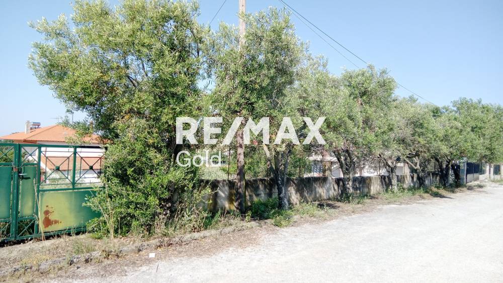 Οικόπεδο 900 τ.μ. προς πώληση, Πολυδένδρι Βερτίσκου