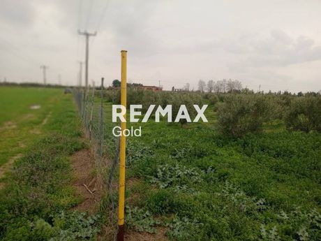Αγροτεμάχια 11.271 τ.μ. προς πώληση