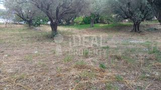 Οικόπεδο 500 τ.μ. προς πώληση, Σαραβάλι-thumb-4