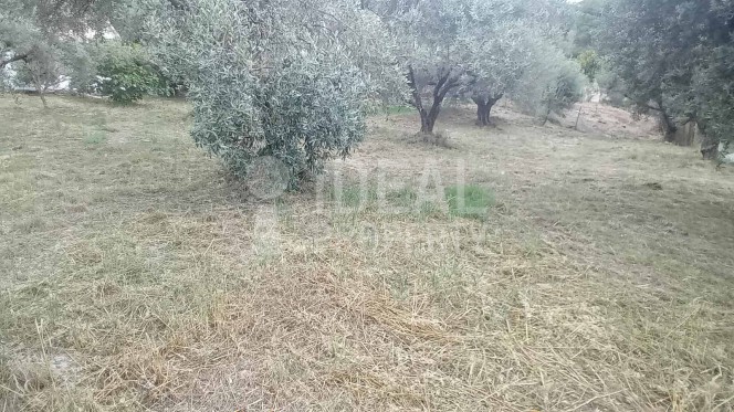 Οικόπεδο 500 τ.μ. προς πώληση, Σαραβάλι