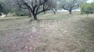 Οικόπεδο 500 τ.μ. προς πώληση, Σαραβάλι-thumb-7